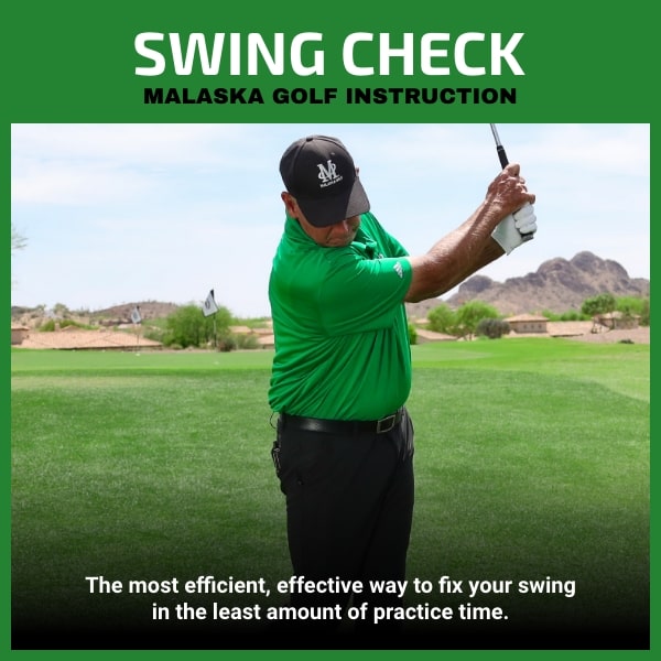 Swing Check