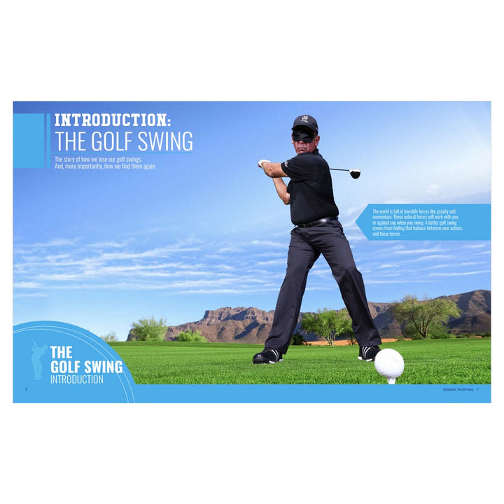 Invisible Swing eBook