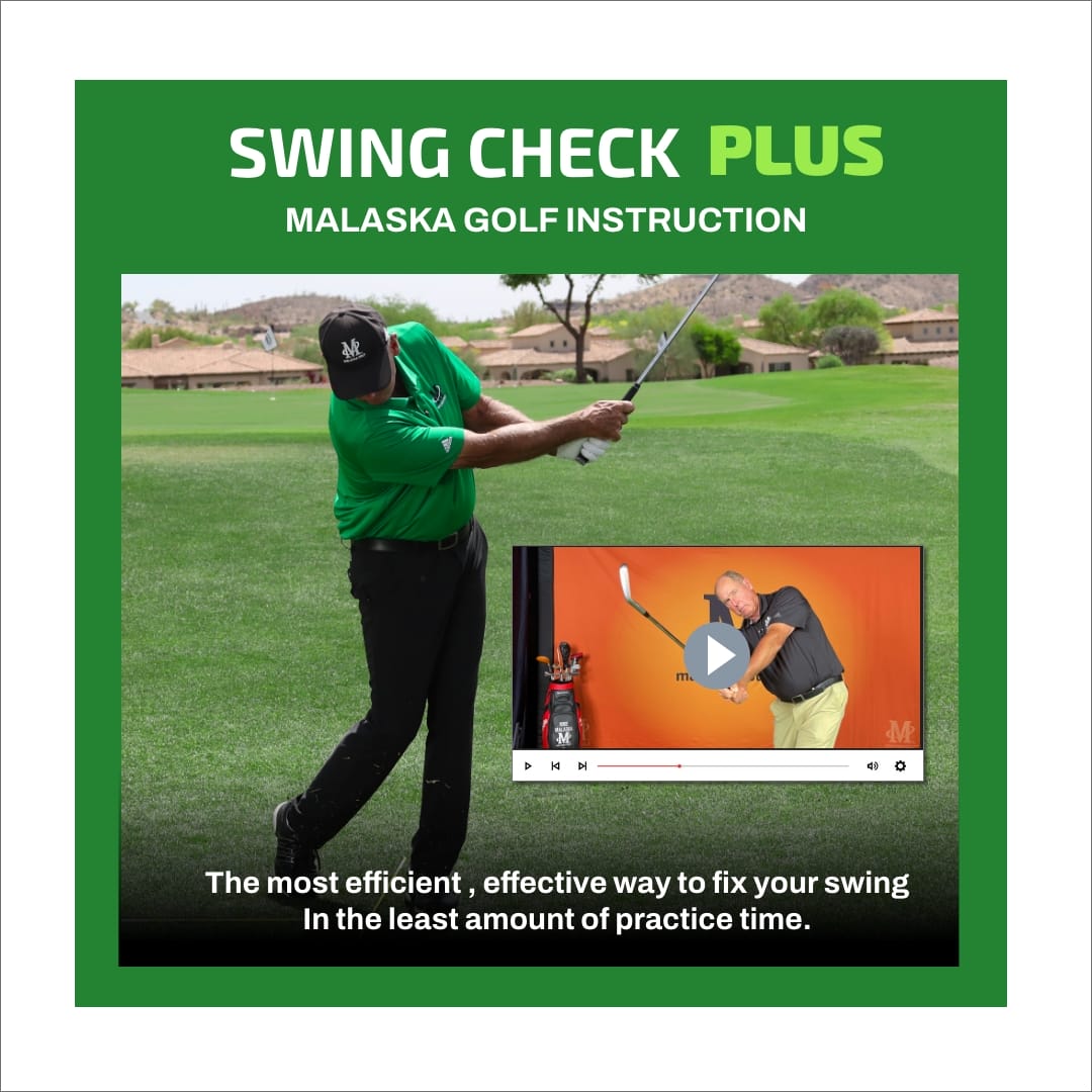 Swing Check PLUS